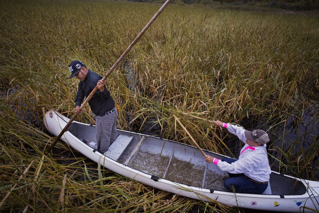 Climates of Inequality — "The Rights of Manoomin" (Wild Rice)