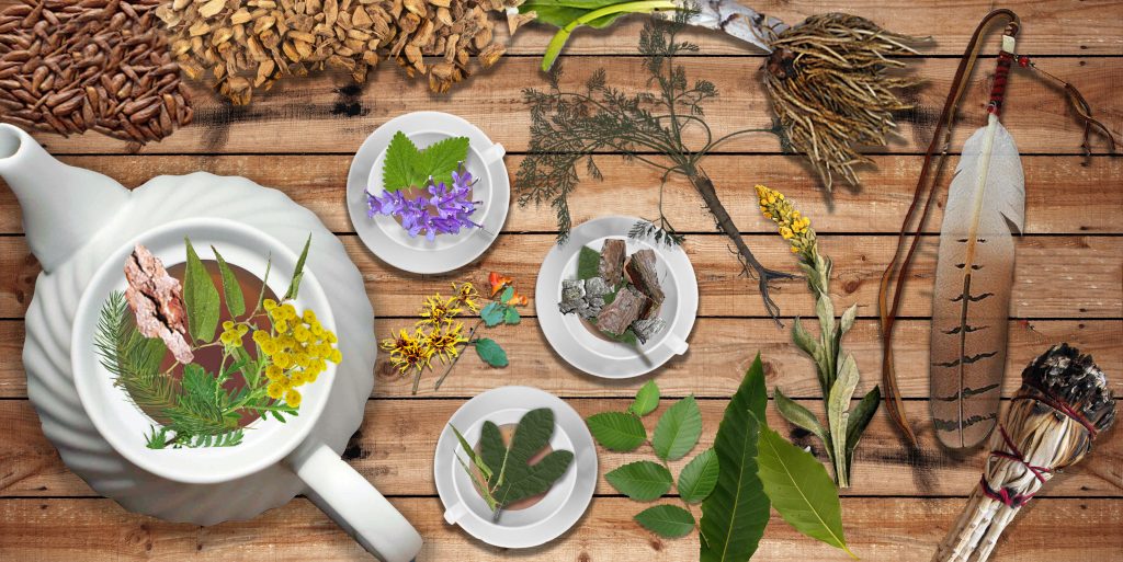 Traditional medicinal plants and natural elements used in ceremonies