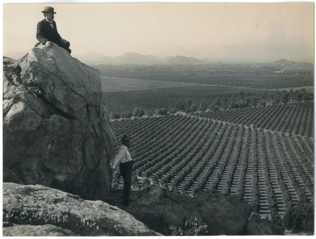 Vistas of citrus groves helped promote the region as the Orange Empire by the 1910s.